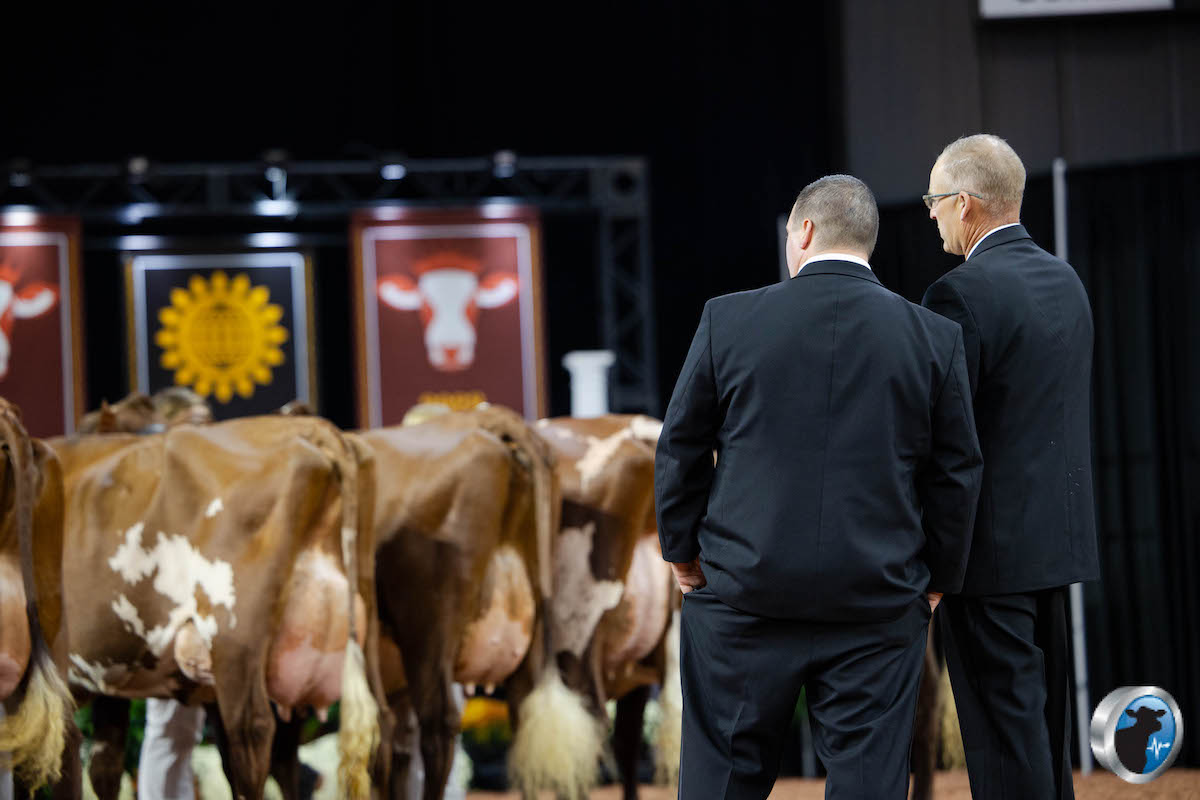 Official Judges for World Dairy Expo 2024 Announced Dairy Herd